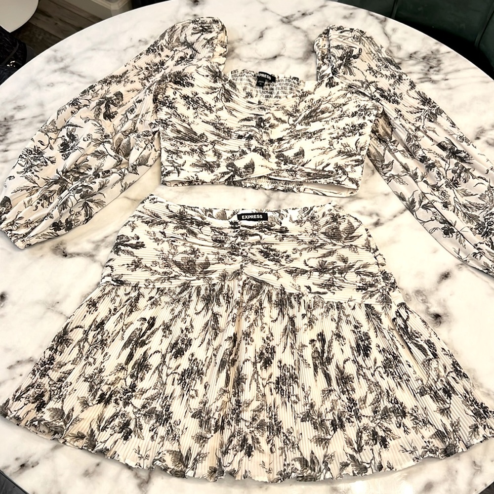 Express Two Piece: crop top and skirt (shirt is XS and skirt is XSP)